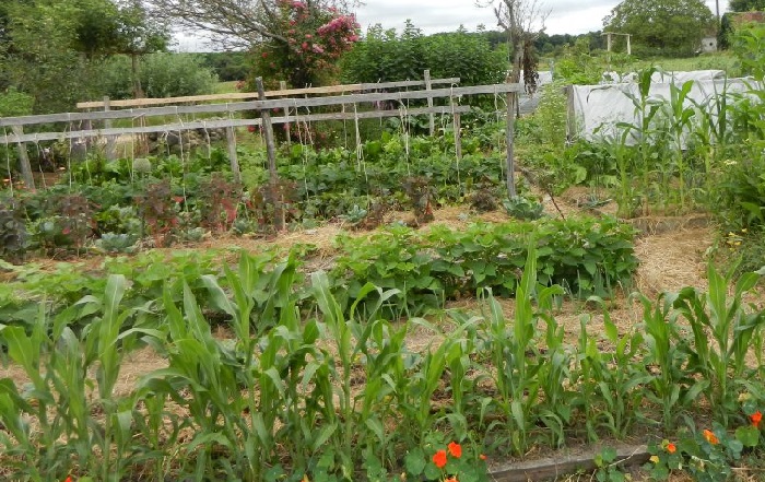 jardinier